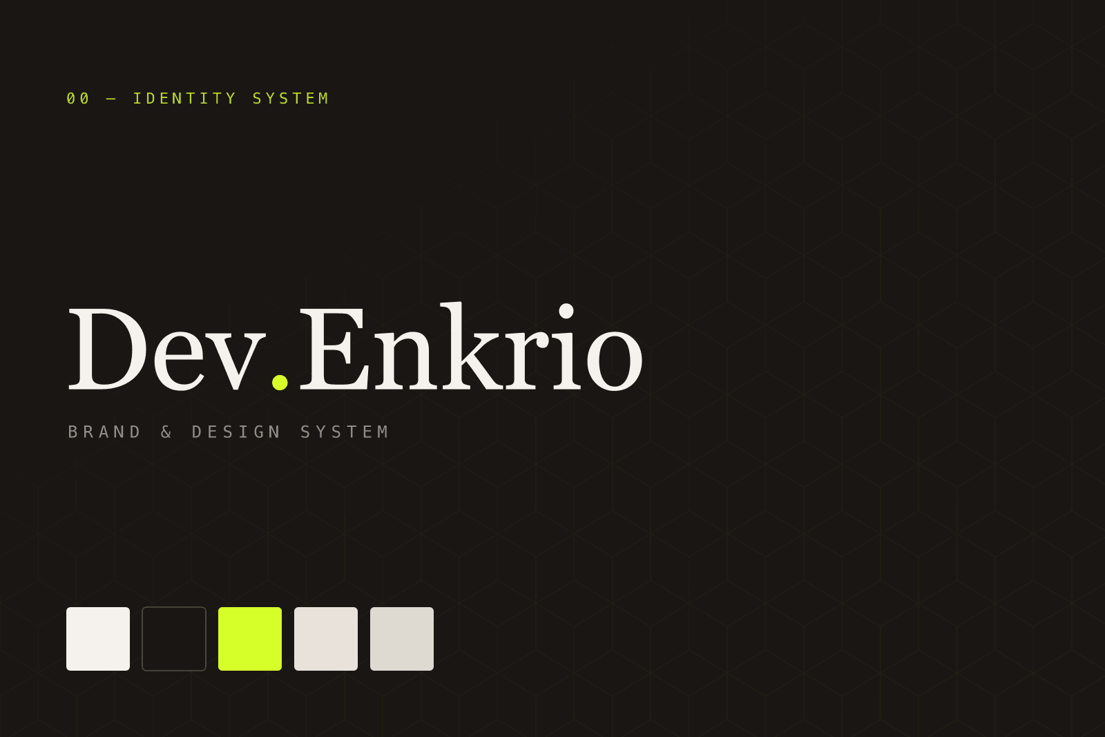 Dev.Enkrio Identity — Identity project by dev.enkrio